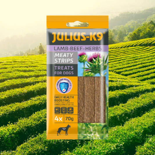 JULIUS-K9 Meaty Snacks – Bárány & Gyógynövény (70g)